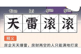 西平债务清欠服务